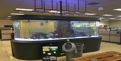 Fish Aquaruim Installation